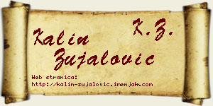 Kalin Zujalović vizit kartica